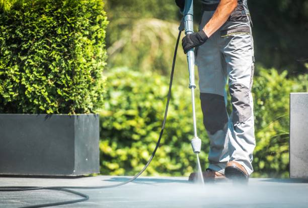 Best Driveway Pressure Washing  in Dover, NJ
